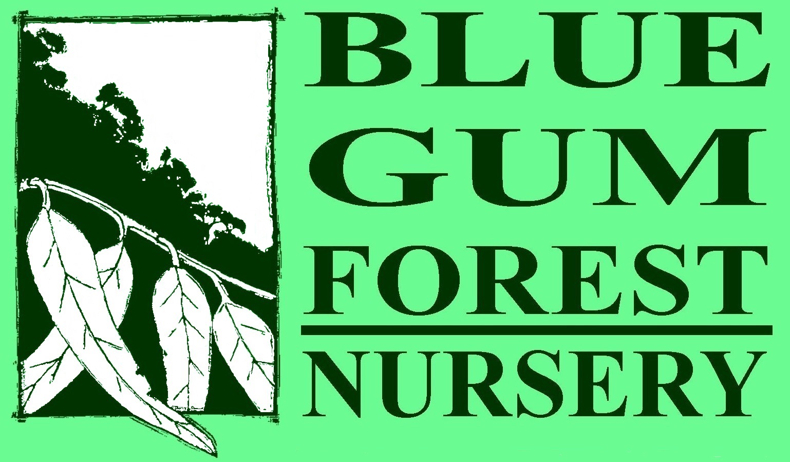 Blue Gum Logo